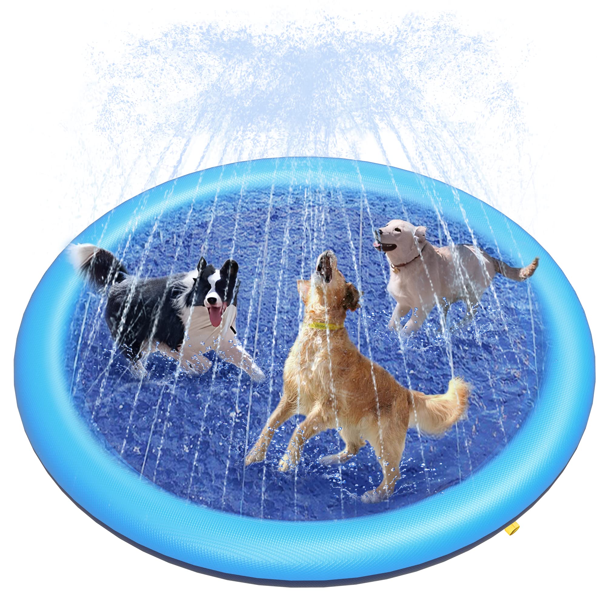 Outdoor Rug Waterproof - Alas Bermain Anjing dengan Semprotan Air