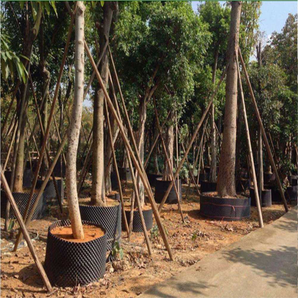 Alat Transplantasi Tanaman Bon - Outdoor Furniture Metal ulasan dan harga